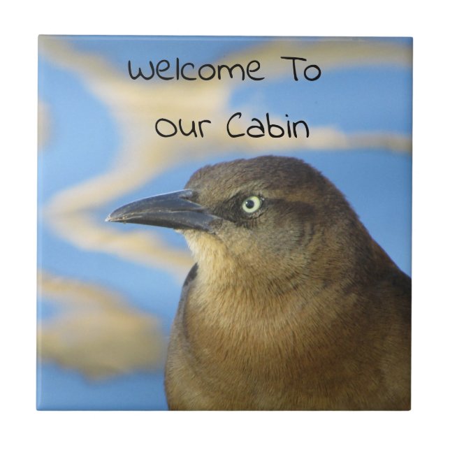 Welcome to the Cabin Blackbird Rustic Ceramic Tile (Front)