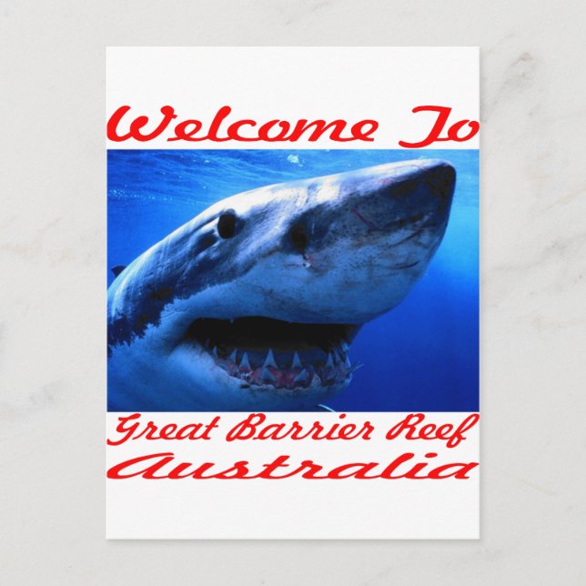 Welcome To The Great Barrier Reef Shark Postcard (Front)