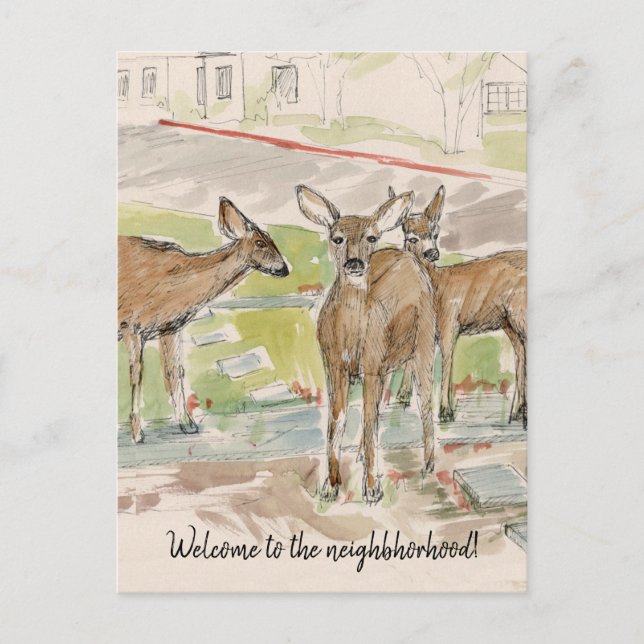 Welcome to the Neighborhood Deer Lawn Postcard (Front)