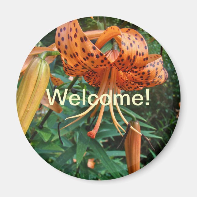 Welcome to the Neighborhood Turk's Cap Lily Magnet (Front)