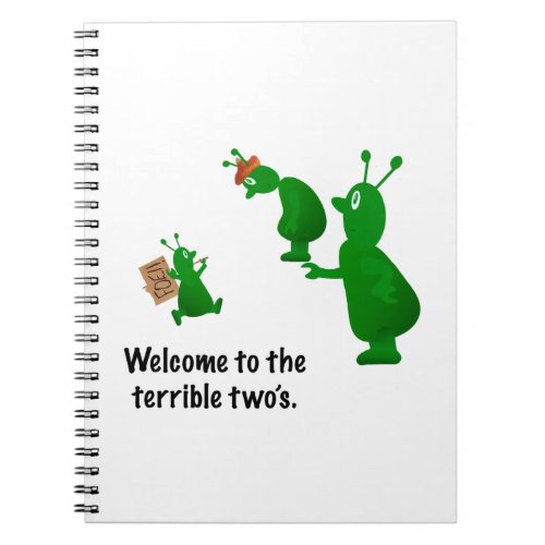 Welcome to the terrible twos notebook