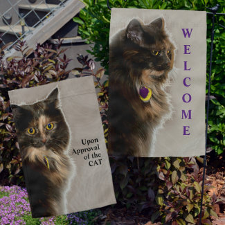 Welcome upon Approval of the Tortie Cat
