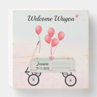 Welcome Wagon New Baby Girl Wood Box Sign