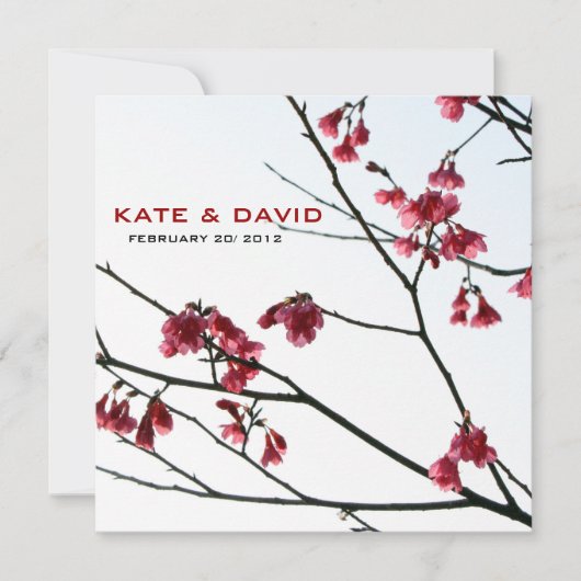 Welcoming Spring/Oriental Zen All-Occasion Flora (Front)