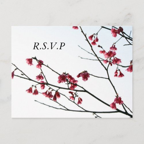 Welcoming Spring Oriental Zen Flora RSVP Invitation Postcard
