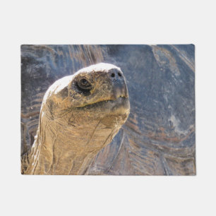 Welcoming Tortoise-  Doormat
