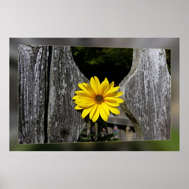 Welcoming yellow flower poster (Front)