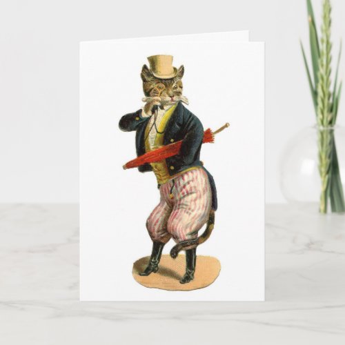 Well_dressed Kitty Cat Funny Happy Birthday Card