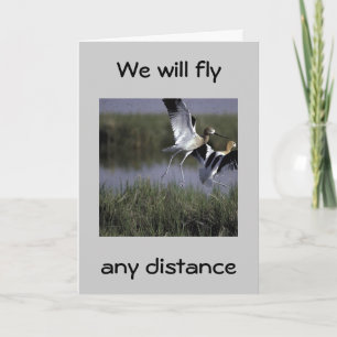 "WE'LL FLY ANY DISTANCE TO SAY HAPPY BIRTHDAY" CARD