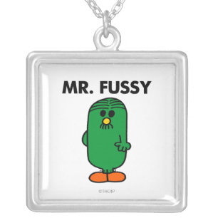 Well-Groomed Mr. Fussy Silver Plated Necklace