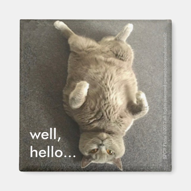 "Well, hello..." from Fiona, the British Blue Cat Magnet (Front)