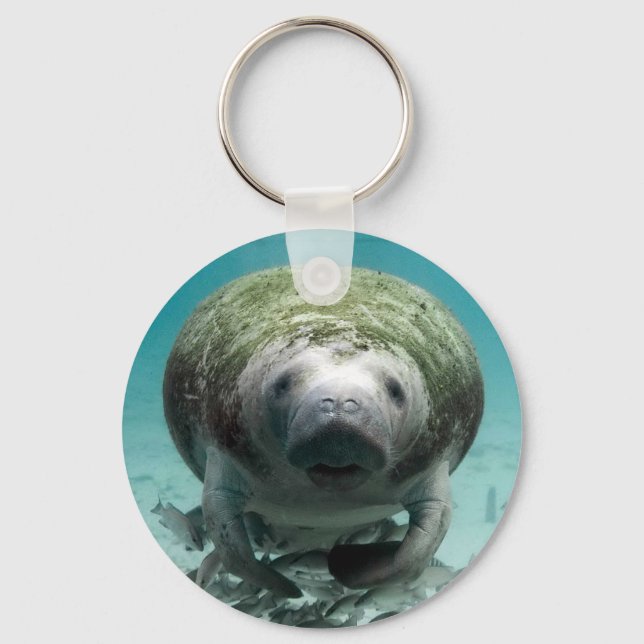 Well Hello There Keychain (Front)