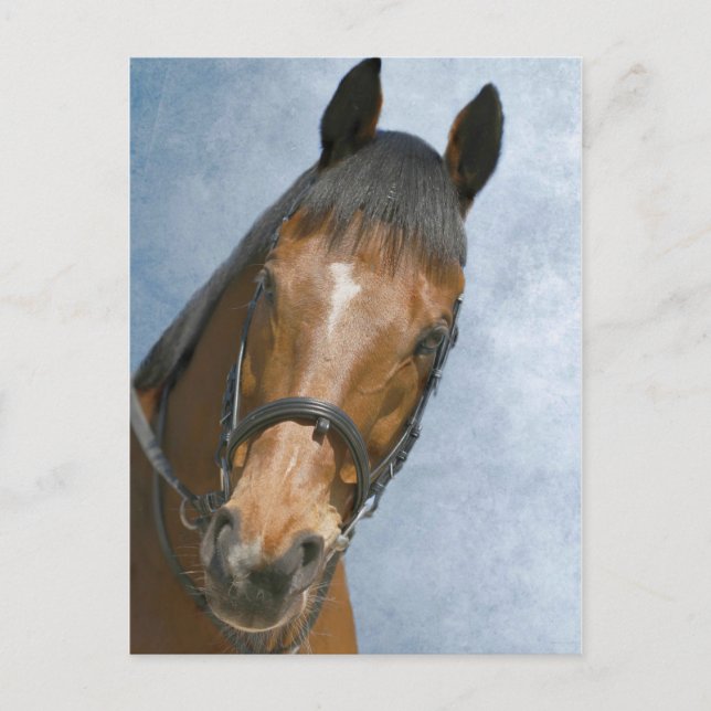 Well Hello There Postcard (Front)