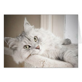 Well, MEOW card (Front Horizontal)