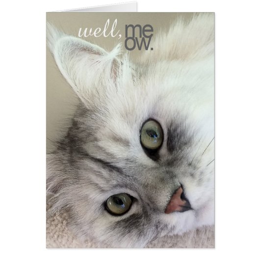 Well, Meow There Multi-Occasion Card (Front)