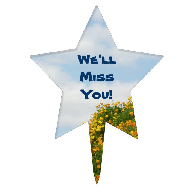 We'll Miss You! cake topper decorations Blue Sky (Front)