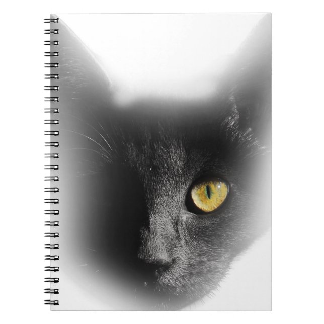 Wellcoda One Eyed Black Cat Freaky Kitten Notebook (Front)