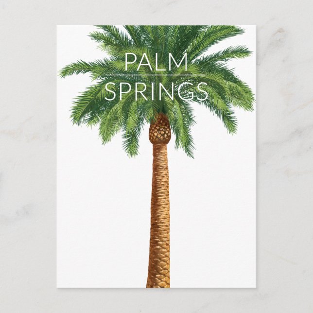 Wellcoda Palm Springs Holiday Summer Fun Postcard (Front)