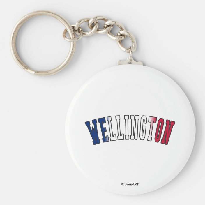 Wellington in New Zealand National Flag Colors Key Chain