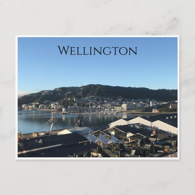 wellington new zealand postcard (Front)