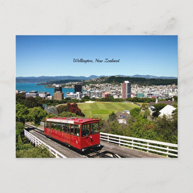 Wellington, New Zealand Postcard (Front)
