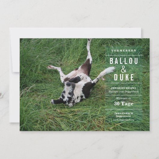 Welpen Ankündigung (Front)