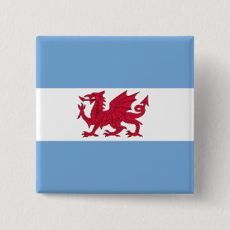 Welsh Colony In Patagonia, Argentina flag Pinback Button