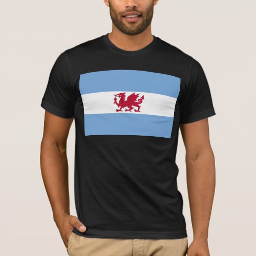 Welsh Colony In Patagonia Argentina flag T_Shirt
