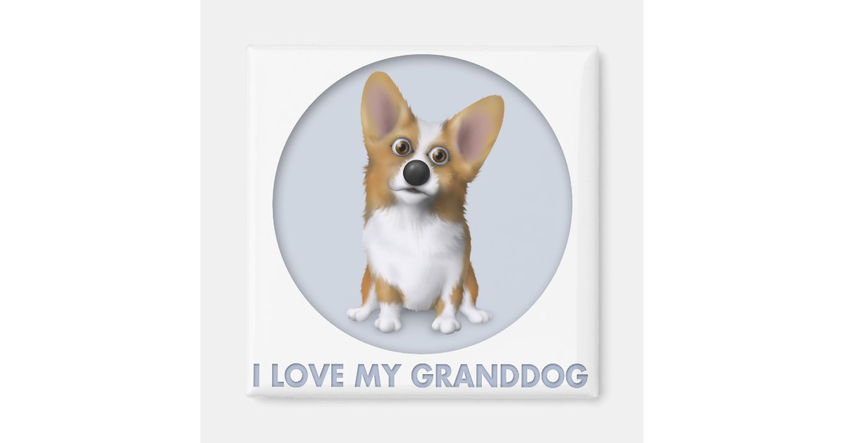 Welsh Corgi 1 Granddog Magnet Zazzle Com