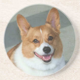 Welsh Corgi coaster