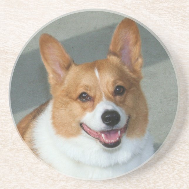 Welsh Corgi coaster (Front)