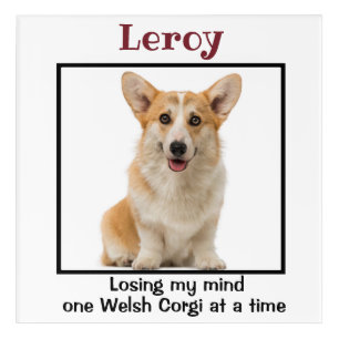 Welsh Corgi Custom Wall Art