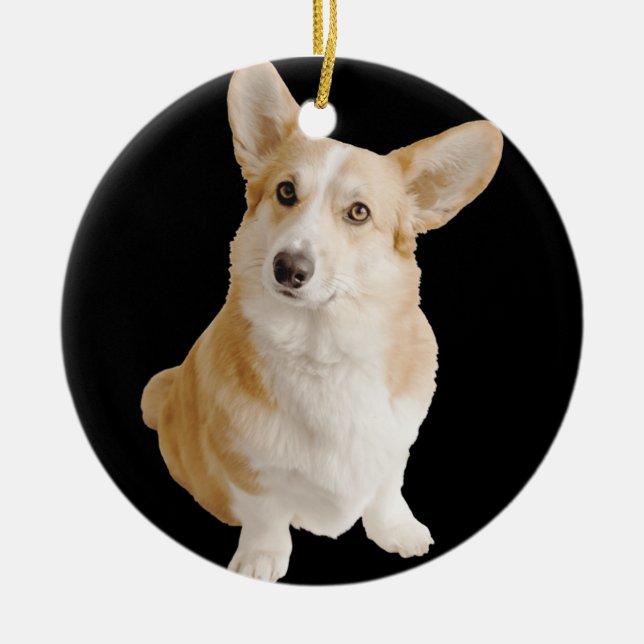 Welsh Corgi Dog Breed Photo Ornament (Front)