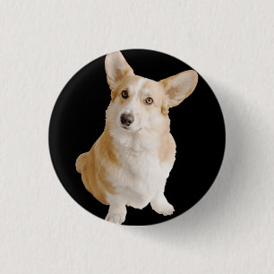 Welsh Corgi Dog  Button