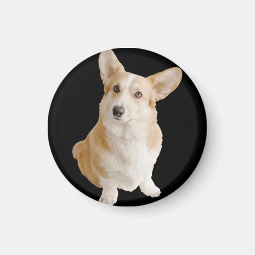Welsh Corgi Dog  Magnet