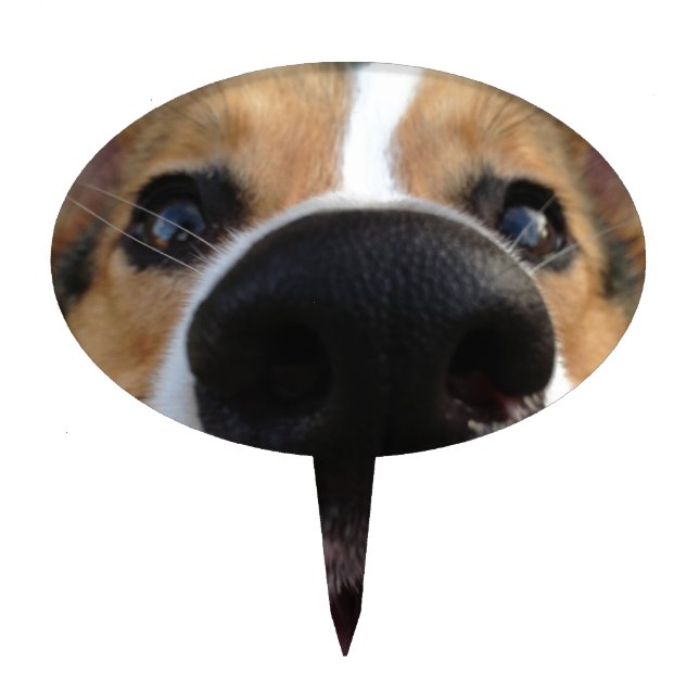 Welsh Corgi Dog Nose Collection Cake Topper (Front)