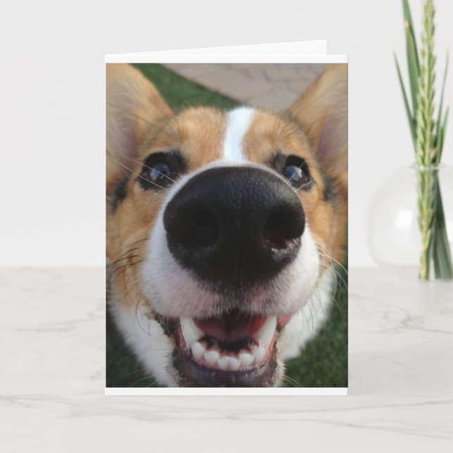 Welsh Corgi Dog Nose Collection Card (Front)