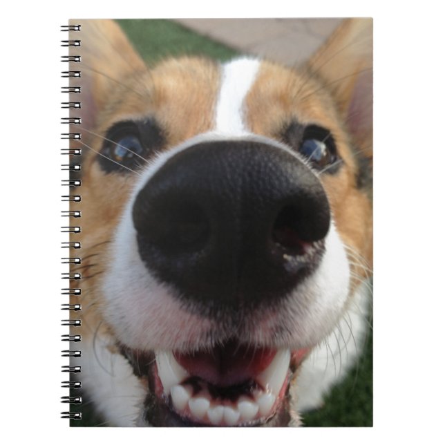 Welsh Corgi Dog Nose Collection Notebook (Front)
