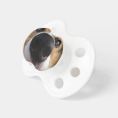 Welsh Corgi Dog Nose Collection Pacifier (Front Right)