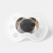 Welsh Corgi Dog Nose Collection Pacifier (Front)