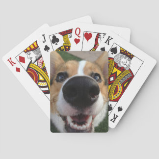 Welsh Corgi Dog Nose Collection Poker Cards