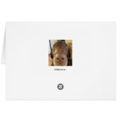 welsh corgi ears cards (Back Horizontal)