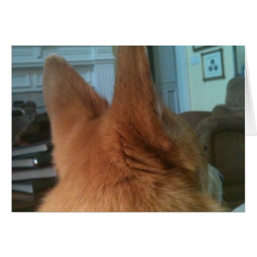 welsh corgi ears cards (Front Horizontal)