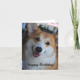Welsh Corgi Happy Birthday Card