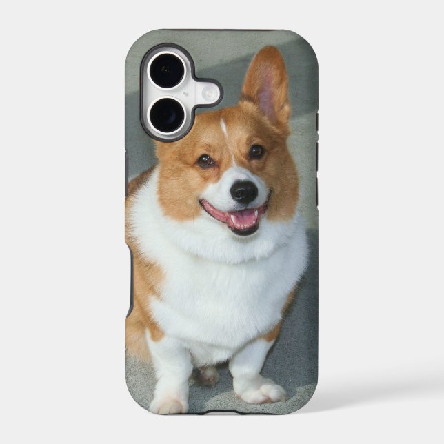 Welsh Corgi Iphone Case (Back)