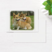 Welsh Corgi (Pembroke) (Desk)