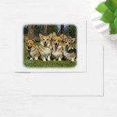 Welsh Corgi (Pembroke) (Desk)