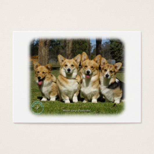 Welsh Corgi (Pembroke) (Front)