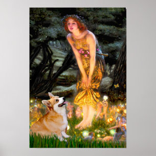 Welsh Corgi Pembroke -  Mideve Poster