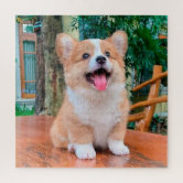 https://rlv.zcache.com/welsh_corgi_puppy_jigsaw_puzzle-rd86ba8c90c834c87a4c1d2b3fc82857f_e77uz_8byvr_166.jpg